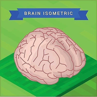 EPS 해외이미지 디자인 과학 컨셉 일러스트 해부 미술 사람 그래픽 컬러풀 약 3D 마음 오르간 플랫 스마트 심볼 오브젝트 사인 뇌 그림 생물학 각도 반구 엘리먼트 해외202004 해외일러스트 교육 컬러 의학 문화예술 원형 건반악기 디지털합성 파일형식 벡터 이미지허브