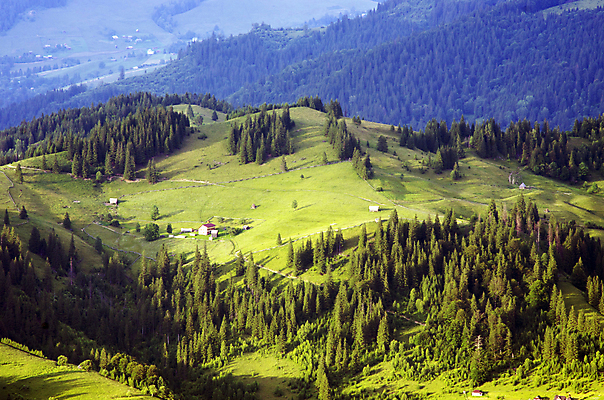 포토 JPG 해외이미지 꽃 유럽 밭 조류 파노라마 풍경 사람없음 옆모습 초록색 노란색 마을 환경 봄 시골 시간 개화 민들레 장면 지역 체코 그린란드 우크라이나 모라비아 해외202004 해외포토 식물 동물 계절 나라 뷰포인트 컬러 섬 농업 촬영기법 덴마크 파일형식 이미지허브