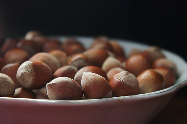 포토 JPG 해외이미지 접시 음식 백그라운드 재료 자연 탁자 건조 건강 씨앗 사람없음 목재 세트 갈색 어둠 견과류 껍질 흰색 신선 그룹 사발 유기농 알맹이 자루 내추럴 개암나무 채식주의자 헤이즐넛 개암 해외202004 해외포토 나무 식물 식기 웰빙 열매 컬러 가구 사기그릇 생태계 채식 파일형식 이미지허브