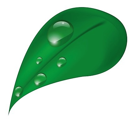 EPS 해외이미지 식물 디자인 백그라운드 컨셉 잎 일러스트 자연 초록색 물 환경 흰색 물방울 신선 떨어짐 심볼 오브젝트 에코 내추럴 고립 생태학 엘리먼트 해외202004 해외일러스트 자연요소 교육 컬러 생태계 파일형식 벡터 이미지허브