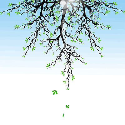 EPS 해외이미지 나무 식물 디자인 계절 꽃 실루엣 분홍색 백그라운드 잎 꽃무늬 패턴 일러스트 자연 하늘 추상 미술 장식 초록색 파란색 햇빛 갈색 유행 검은색 성장 벚꽃 흰색 나뭇가지 심볼 질감 나무껍질 고립 해외202004 해외일러스트 컬러 무늬 문화예술 촬영기법 태양 껍질 생태계 파일형식 벡터 이미지허브
