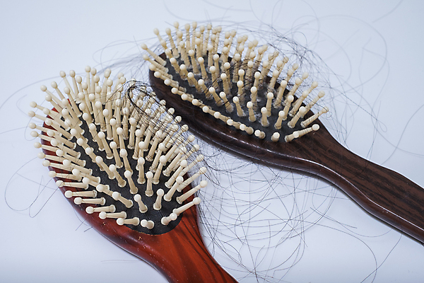 포토 JPG 해외이미지 사람없음 뷰티 머리카락 머리빗 엉킴 흰배경 두피관리 두피케어 탈모 탈모클리닉 해외202004 탈모예방 해외포토 백그라운드 머리 흰색 미용용품 예방 클리닉 헤어관리 증상 파일형식 이미지허브