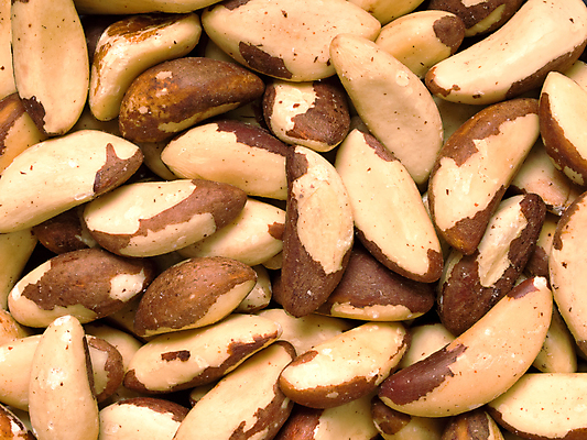 포토 JPG 해외이미지 음식 백그라운드 채소 재료 요리 씨앗 사람없음 가로 견과류 굽기 성분 브라질 남쪽 식용 채식주의자 해외202004 해외포토 식물 남아메리카 구이 방향 채식 파일형식 이미지허브