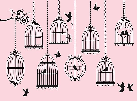 EPS 해외이미지 실루엣 일러스트 조류 매달리기 사람없음 세트 비행 새장 해외일러스트 동물 모션 촬영기법 케이지 파일형식 벡터 이미지허브