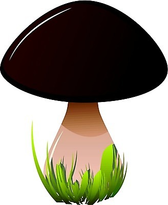 EPS 해외이미지 식물 구름 라이프스타일 디자인 계절 음식 잎 밭 채소 일러스트 재료 자연 건강 미소 사람 여름 갈색 주방 식사 저녁식사 버섯 가을 흰색 그리기 유머 치아 숲 큼 자르기 오브젝트 그림 날것 무당벌레 멀리 고립 곰팡이 그물버섯 식용 채식주의자 캐리커처 캡모자 해외202004 해외일러스트 자연요소 모자 감정 컬러 곤충 농업 모션 표정 생활 소화기관 크기 생태계 채식 파일형식 벡터 동물 잡화 산업 장기 신체 이미지허브