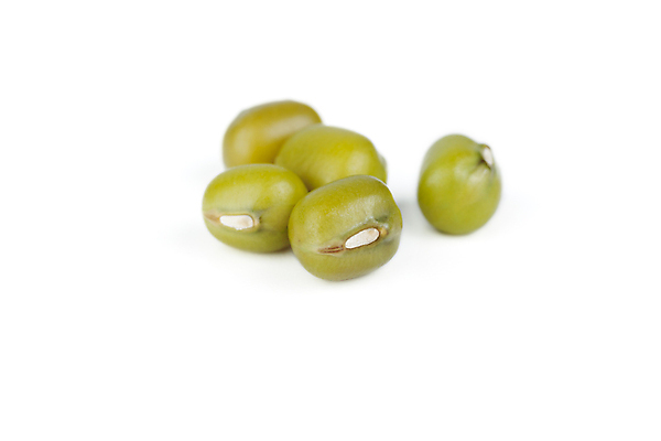 포토 JPG 해외이미지 음식 채소 재료 콩 건조 건강 사람없음 초록색 흰배경 날것 고립 단백질 생식 식용 해외202004 해외포토 컬러 백그라운드 곡류 흰색 영양소 파일형식 이미지허브