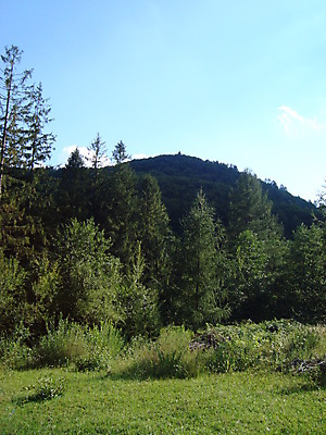 포토 JPG 해외이미지 나무 식물 디자인 공원 백그라운드 자연 풍경 잔디 사람없음 야외 장식 빨간색 초록색 정원 봄 관목 원예 조경 내추럴 심기 해외202004 해외포토 계절 공공시설 컬러 모션 취미 생태계 파일형식 이미지허브