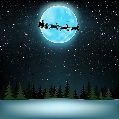 EPS 해외이미지 실루엣 별 하늘색 일러스트 자연 하늘 표면 요정 풍경 목재 파란색 빛 우주 검은색 어둠 새벽 행성 보름달 달 야간 숲 큼 만화 달빛 분화구 공상 침엽수 전나무 스카이라인 넘어짐 가문비나무 해외202004 해외일러스트 자연요소 나무 컬러 재료 모션 촬영기법 크기 생태계 화산 파일형식 벡터 이미지허브