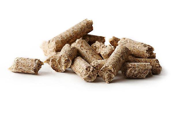 포토 JPG 해외이미지 백그라운드 자연 사람없음 목재 환경 고양이 힘 에너지 뜨거움 보호 연료 세대 연소 바이오 변기통 실린더 더스트파티클 해외202004 해외포토 나무 컨셉 재료 포유류 반려동물 생태계 파일형식 이미지허브