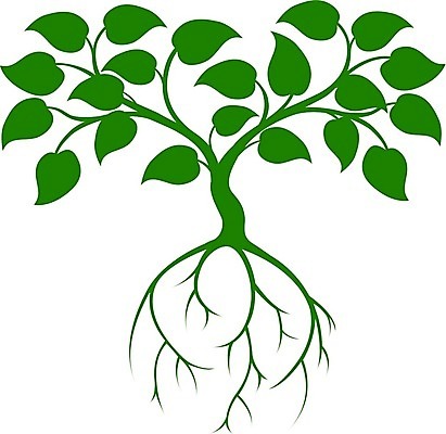 EPS 해외이미지 모양 나무 식물 교육 컨셉 잎 일러스트 자연 성공 추상 그래픽 초록색 농작물 환경 정원 성장 나뭇가지 마음 가르침 허브 심볼 사인 그림 유기농 투자 심플 뿌리 포도나무 내추럴 혁명 지능 총쏘기 해외202004 해외일러스트 웰빙 컬러 무늬 농업 비즈니스 모션 과일나무 생태계 파일형식 벡터 산업 이미지허브