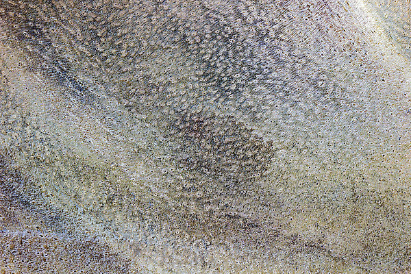 포토 JPG 해외이미지 나무 디자인 벽 백그라운드 패턴 자연 벽지 탁자 표면 추상 바닥 프레임 사람없음 목재 장식 갈색 어둠 공백 판넬 거친 널 낟알 책상 묘사 질감 그런지 수목 옛날 파케트 해외202004 해외포토 식물 컬러 가구 무늬 재료 생태계 파일형식 이미지허브