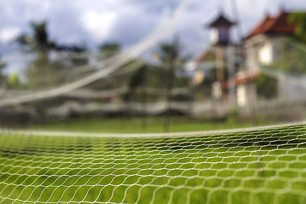 포토 JPG 해외이미지 식물 직업 전통 아시아 문화 음식 농업 자연 밥 노동자 사람 동양인 풍경 사람없음 야외 초록색 물 농작물 농장 농경지 중국 수확 성장 시골 업무 뜨거움 농부 낟알 유기농 베트남 발리 인도네시아 장면 밀짚 논밭 밭일 해외202004 해외포토 자연요소 웰빙 나라 산업 컬러 섬 밭 논 인종 동남아시아 작업 짚 생태계 파일형식 이미지허브