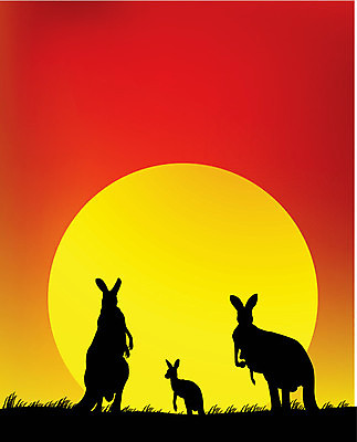 EPS 해외이미지 나무 동물 실루엣 야생동물 여행 백그라운드 오렌지 일러스트 포유류 가족 자연 조류 하늘 휴가 동물원 풍경 야외 빨간색 여름 태양 노란색 평화 일출 환경 검은색 화목 황혼 일몰 흰색 아기 황무지 호주 저녁 땅 아래 심볼 사파리 그림 영토 독수리 캥거루 고립 오지 인기 해외202004 해외일러스트 자연요소 식물 계절 컬러 컨셉 과일 관계 촬영기법 사람 노을 오세아니아 야간 방향 생태계 위치 파일형식 벡터 이미지허브