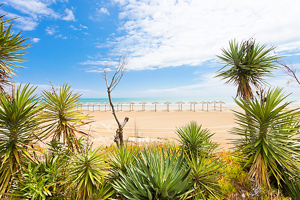 포토 JPG 해외이미지 나무 식물 꽃 유럽 모래 바다 여행 잎 자연 하늘 휴가 풍경 사람없음 목재 물 여름 야자수 햇빛 맑음 수영 이탈리아 벚꽃 나뭇가지 시골 만 개화 발자국 지중해 양산 빛망울 가림막 해외202004 해외포토 자연요소 계절 나라 재료 자국 날씨 빛 태양 수상스포츠 생태계 파일형식 이미지허브