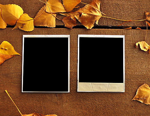 포토 JPG 해외이미지 낙엽 프레임 사람없음 가을 빈티지 폴라로이드사진 목업 해외202004 해외포토 계절 컨셉 잎 폴라로이드 파일형식 이미지허브