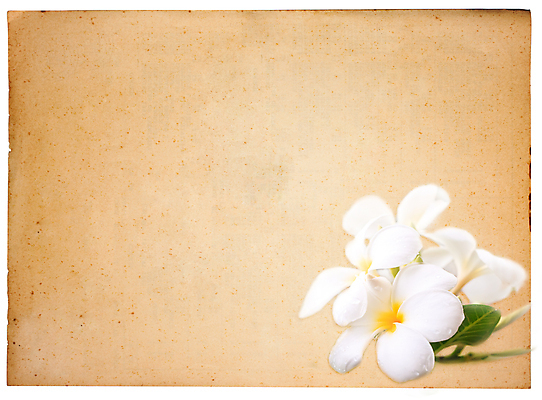 포토 JPG 해외이미지 디자인 종이 백그라운드 패턴 문구용품 봉투 미술 팜플렛 사람없음 책 사무실 연필 갈색 노란색 다이어리 쪽지 공책 페인트 공백 수확 골동품 덮개 그리기 클래식 잡지 매끈함 스케치 편지 메뉴 보고서 질감 페이지 시트 그런지 스크랩북 옛날 조언 증명서 표준 화상 해외202004 해외포토 컬러 컨셉 무늬 농업 비즈니스 모션 문화예술 학용품 간행물 필기구 사무용품 뚜껑 감각 상처 오브젝트 파일형식 이미지허브