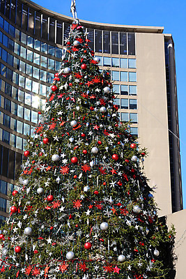 포토 JPG 해외이미지 나무 크리스마스 공 휴가 사람없음 건물 장식 도시 소나무 도심 상록수 토론토 시청 핵심 해외202004 해외포토 식물 건축물 기념일 캐나다 관공서 파일형식 이미지허브