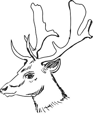 EPS 해외이미지 클립아트 동물 남자 야생동물 스포츠 백그라운드 일러스트 포유류 자연 명함 성공 사슴 뿔 광고판 저울 미술 야외 머리 달러 힘 게임 흰색 큼 먹이 스케치 바퀴자국 트로피 그림 리더 코 꼬리 사냥 손그림 양궁 고립 신발장 웅장함 힘찬 해외202004 해외일러스트 컬러 컨셉 돈 자국 놀이 문화예술 알림판 사람 신체부위 크기 상_우승 생태계 판 파일형식 벡터 이미지허브