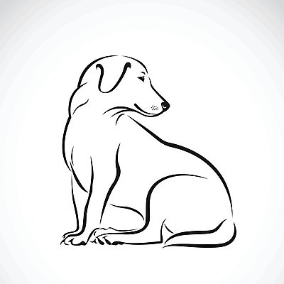 EPS 해외이미지 일러스트 사람없음 반려동물 검은색 흰색 뒤돌아보기 개 강아지 래브라도리트리버 해외202004 해외일러스트 동물 컬러 포유류 모션 리트리버 파일형식 벡터 이미지허브