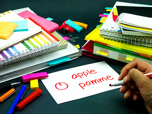 포토 JPG 해외이미지 학생 영어 교육 문화 텍스트 통신 교실 학교 수업 사람없음 책 단어 스터디 세계 글로벌 연필 펜 쪽지 공책 시험 퀴즈 가르침 사과 강의 사전 프랑스어 소셜 번역 해외202004 해외포토 문자 과일 문구용품 학용품 학습 필기구 파일형식 이미지허브