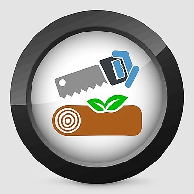 EPS 해외이미지 나무 식물 손 산업 컨셉 겨울 일러스트 부분 자연 노동자 목재 갈색 에너지 반지 잡기 소나무 플랫 숲 장작 자르기 심볼 통나무 목공예 잡동사니 다리찢기 내추럴 벌목 생태학 수목 커터 톱질 해외202004 해외일러스트 직업 계절 교육 컬러 재료 장신구 모션 신체부위 공예 생태계 파일형식 벡터 이미지허브