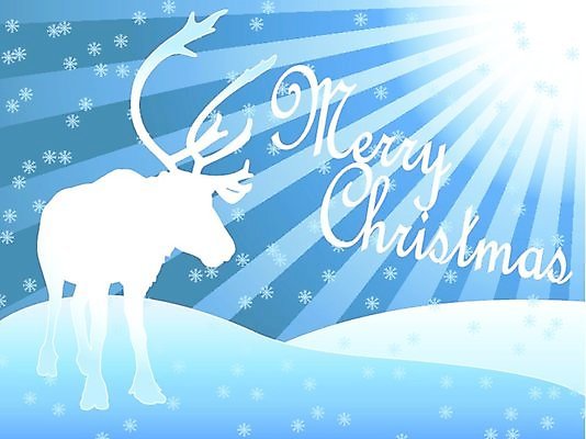 EPS 해외이미지 동물 계절 실루엣 별 조각 크리스마스 일러스트 자연 휴가 이벤트 단어 햇빛 희망 추위 흰색 신용카드 심볼 기회 동물상 순록 해외202004 해외일러스트 자연요소 문자 기념일 감정 컬러 촬영기법 금융 태양 조형물 생태계 파일형식 벡터 이미지허브