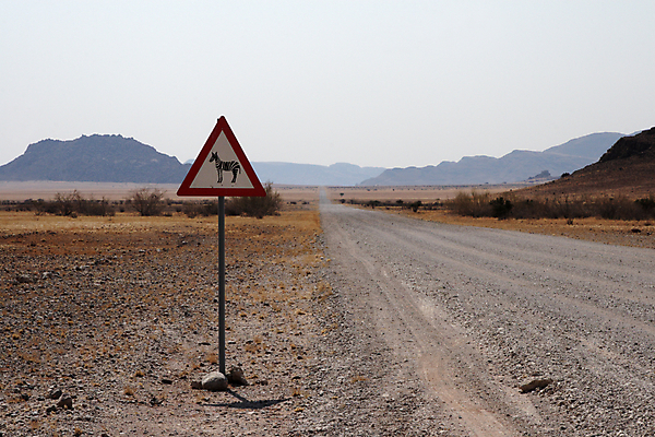 포토 JPG 해외이미지 나무 도로 모래 아프리카 하늘 산 거리 건조 경고 풍경 사람없음 빨간색 초록색 모래사장 갈색 노란색 사막 흰색 황무지 사인 도로표지판 먼지 얼룩말 경고문 나미비아 방법 주목 해외202004 해외포토 식물 나라 길 바다 컬러 교통시설 말_동물 표지판 남아프리카 파일형식 이미지허브