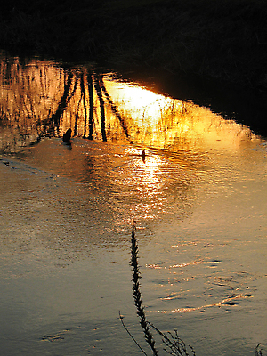 포토 JPG 해외이미지 자연 풍경 사람없음 물 빛 강 태양 반사 일몰 봄 달력 광선 시간 황금 저녁 연도 해외202004 해외포토 자연요소 계절 노을 야간 생태계 파일형식 이미지허브
