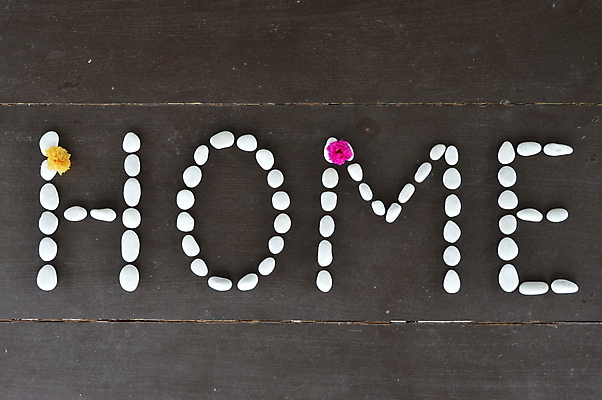 포토 JPG 해외이미지 꽃 주택 사람없음 단어 조약돌 기록 편지 리빙 해외202004 해외포토 식물 문자 건물 돌_바위 파일형식 이미지허브