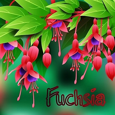 EPS 해외이미지 식물 꽃잎 꽃 줄기 분홍색 꽃다발 꽃무늬 패턴 일러스트 자연 매달리기 야외 장식 빨간색 컬러풀 정원 보라색 성장 벚꽃 물방울 나뭇가지 개화 자주색 제비꽃 묘사 원예 꽃가루 내추럴 강렬 꽃수술 이국적 해외202004 해외일러스트 나무 컬러 무늬 모션 취미 가루 생태계 파일형식 벡터 이미지허브