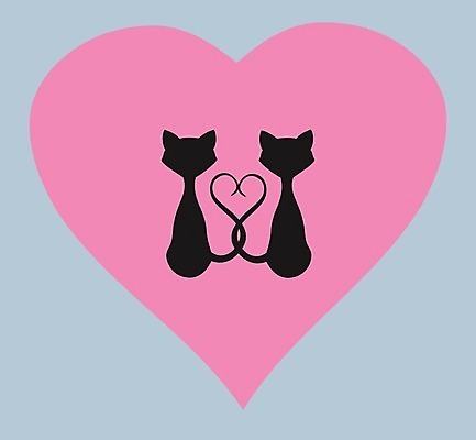 EPS 해외이미지 동물 디자인 배너 커플 실루엣 데이트 일러스트 발렌타인데이 사랑 이벤트 반려동물 검은색 고양이 웹 하트 쌍 신용카드 달콤 주식 만화 심볼 그림 해외202004 해외일러스트 모양 감정 컬러 인터넷 포유류 관계 데이이벤트 촬영기법 금융 맛 파일형식 벡터 이미지허브