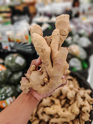 포토 JPG 해외이미지 식물 음식 조각 백그라운드 다이어트 채소 재료 자연 건강 요리 동양인 사람없음 약 갈색 신선 양념 시장 맛 먹기 허브 향신료 유기농 날것 뿌리 생강 흙더미 내추럴 채식주의자 해외202004 해외포토 웰빙 컬러 컨셉 의학 모션 인종 흙 생태계 채식 향미료 파일형식 더미 이미지허브