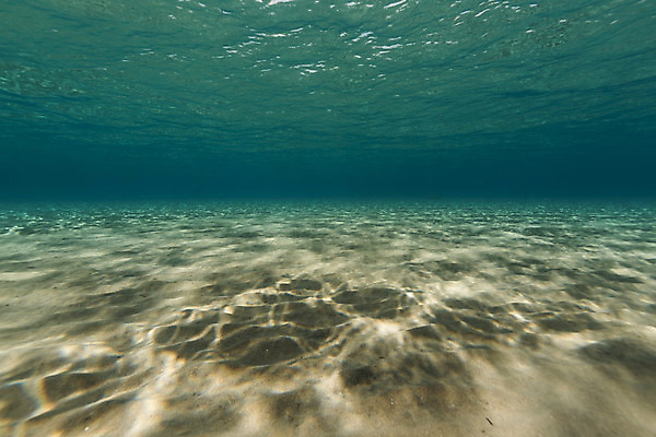 포토 JPG 해외이미지 식물 동물 모래 바다 백그라운드 자연 표면 어류 풍경 사람없음 물 파란색 컬러풀 햇빛 태양 바닷속 수중 광선 산호 아래 다이빙 장면 암초 깊이 소금물 이국적 침몰 파라다이스 해외202004 해외포토 자연요소 컬러 수영 수중동물 자포동물 방향 생태계 위치 수중스포츠 파일형식 이미지허브