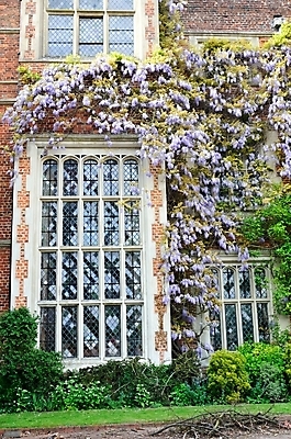 포토 JPG 해외이미지 전통 디자인 외관 건축양식 창문 벽돌 잉글랜드 주택 사람없음 건물 빨간색 역사 큼 맨션 철 옛날 스타일 해외202004 해외포토 건축물 건축 컬러 영국 크기 파일형식 이미지허브