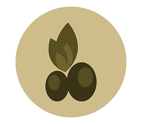 EPS 해외이미지 식물 음식 잎 채소 일러스트 재료 자연 건강 초록색 픽토그램 웹 나뭇가지 신선 심볼 그리스 사인 유기농 올리브 내추럴 채식주의자 추가 해외202004 해외일러스트 나무 웰빙 열매 유럽 컬러 인터넷 생태계 채식 파일형식 벡터 이미지허브