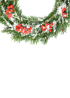 포토 JPG 해외이미지 모양 나무 식물 전통 열매 백그라운드 잎 크리스마스 겨울 자연 휴가 새로움 새해 선물 사람없음 장식 초록색 축제 화환 흰색 나뭇가지 축하 인사 소나무 원형 화려 가장자리 숲 연도 뼈대 상록수 침엽수 전나무 원뿔 고립 구성 가문비나무 해외202004 해외포토 도형 계절 기념일 꽃 컬러 컨셉 예절 둘레 생태계 파일형식 이미지허브