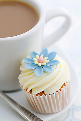 포토 JPG 해외이미지 접시 꽃 커피 음료 음식 휴식 디저트 경사 사람없음 장식 컵 세로 파란색 케이크 얼음 소용돌이 흰색 달콤 찻잔 컵케이크 굽기 크림 대각선 반투명 휘핑크림 프로스팅 해외202004 해외포토 자연요소 식물 식기 선 컬러 컨셉 잔 회오리 맛 구이 제빵 휘핑 파일형식 이미지허브