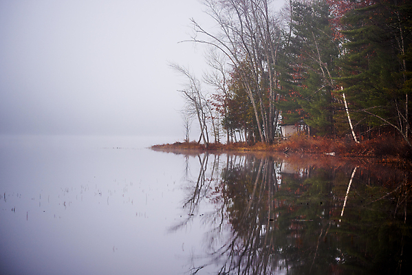 포토 JPG 해외이미지 나무 계절 호수 낙엽 자연 아침 사람없음 야외 물 평화 일출 새벽 촉촉함 안개 가을 신선 황무지 습지 숲 시원함 11월 속도 내추럴 뿌연 삼림지대 섞기 해외202004 해외포토 주간 자연요소 식물 컨셉 잎 날씨 노을 젖음 날짜 생태계 파일형식 이미지허브