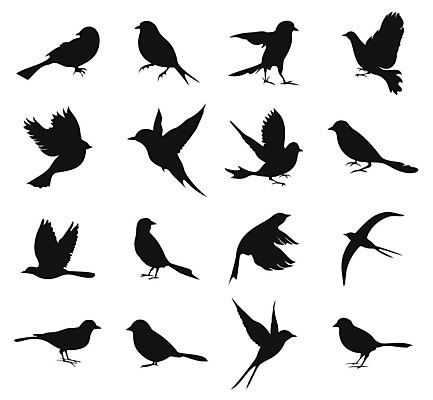 EPS 해외이미지 동물 디자인 패턴 날개 일러스트 자연 조류 미술 동양인 장식 평화 검은색 만화 왜가리 심볼 깃털 펭귄 비둘기 꼬리 앵무새 고무 동물상 소셜네트워크 해외202004 해외일러스트 컬러 컨셉 무늬 문화예술 인종 조형물 생태계 파일형식 벡터 이미지허브