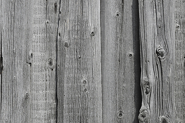 포토 JPG 해외이미지 백그라운드 패턴 자연 표면 날씨 사람없음 야외 목재 울타리 회색 수확 소나무 판넬 거친 플랫 떨어짐 널 목수 폐허 질감 매듭 스크래치 찢어짐 목판 옛날 해외202004 해외포토 나무 직업 컬러 컨셉 무늬 농업 재료 모션 담장 생태계 파일형식 이미지허브