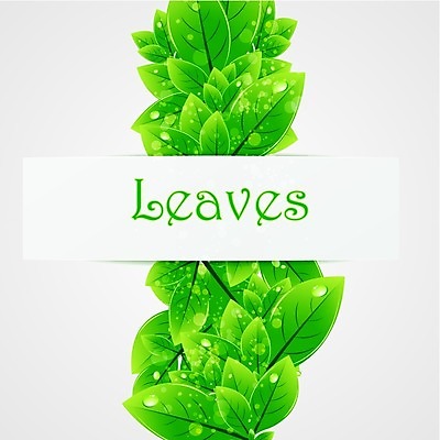 EPS 해외이미지 식물 디자인 배너 포스터 백그라운드 컨셉 잎 꽃무늬 일러스트 자연 바람 추상 미술 장식 초록색 여름 우주 환경 정원 활발 성장 덮개 신선 화려 숲 허브 서식 시트 구성 생태학 해외202004 해외일러스트 자연요소 계절 교육 꽃 컬러 무늬 날씨 문화예술 뚜껑 생태계 파일형식 벡터 이미지허브