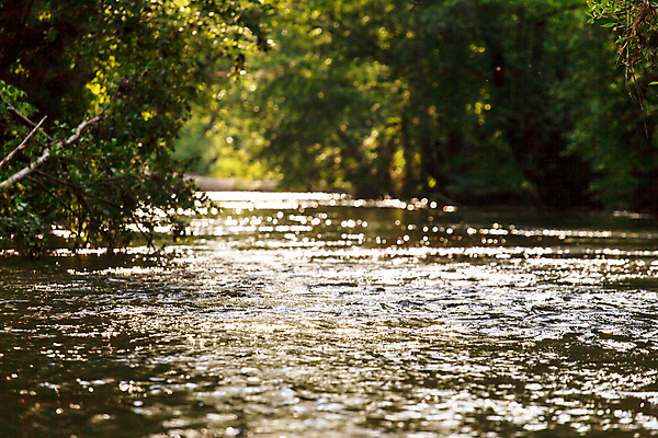 포토 JPG 해외이미지 나무 계절 공원 호수 여행 백그라운드 잎 자연 풍경 사람없음 야외 목재 초록색 물 여름 파란색 강 햇빛 반사 환경 맑음 봄 활발 거울 시골 숲 내추럴 생태학 양치류 수평선 해외202004 해외포토 자연요소 식물 공공시설 교육 컬러 컨셉 재료 날씨 태양 생태계 파일형식 이미지허브