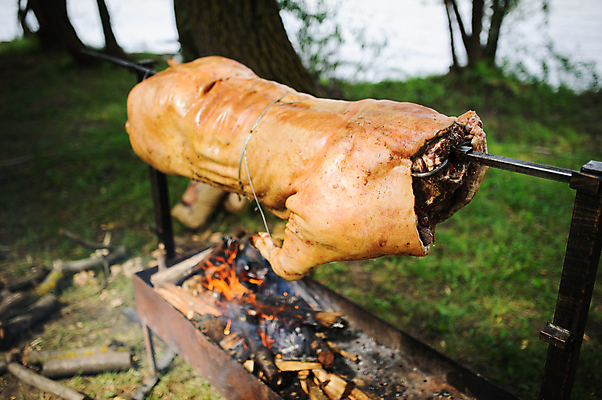 포토 JPG 해외이미지 전신 전통문화 줄 음식 불 육류 돼지고기 요리 사람없음 야외 식사 돼지 뜨거움 꼬치 그릴 바비큐 굽기 준비 되감기 음식준비 해외202004 해외포토 자연요소 전통 문화 식재료 포유류 주방용품 구이 파일형식 이미지허브