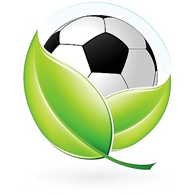 EPS 해외이미지 컨셉 잎 일러스트 자연 아이디어 초록색 축구 재활용 떨어짐 심볼 유기농 무당벌레 부활 여의주 해외202004 해외일러스트 식물 웰빙 컬러 곤충 구기 친환경 생태계 파일형식 벡터 이미지허브