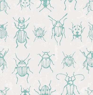 EPS 해외이미지 동물 디자인 종이 야생동물 곤충 백그라운드 패턴 일러스트 자연 벽지 생물 미술 내부 장식 빨간색 파란색 유행 봄 수확 직물 면 벌레 인쇄 자르기 수집 딱정벌레 타일 오브젝트 그림 질감 생물학 그런지 엘리먼트 옛날 이국적 현실 해외202004 해외일러스트 계절 교육 컬러 무늬 농업 모션 문화예술 생태계 파일형식 벡터 이미지허브