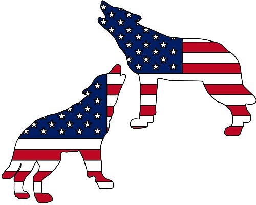 자연요소 동물 컬러 북아메리카 무늬 포유류 방향 파일형식 벡터 EPS 해외이미지 일러스트 배너 별 백그라운드 빨간색 파란색 미국 줄무늬 흰색 심볼 사인 신호 육식동물 북쪽 늑대 고립 전국 해외202004 해외일러스트 이미지허브