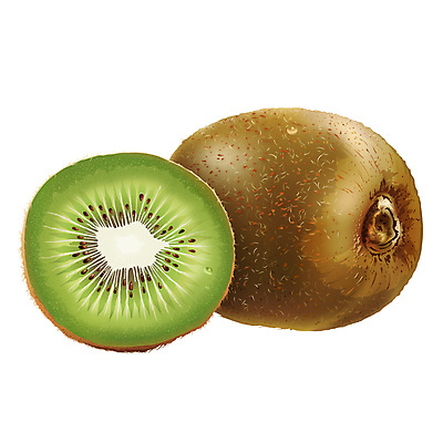 포토 JPG 해외이미지 과일 일러스트 키위 사람없음 해외202004 해외포토 파일형식 이미지허브