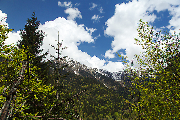 포토 JPG 해외이미지 나무 구름 계절 공원 유럽 호수 여행 백그라운드 캐나다 자연 하늘 산 풍경 사람없음 야외 초록색 물 여름 파란색 강 환경 계곡 맑음 봄 바위 흰색 시골 연기 숲 언덕 장면 내추럴 산악지대 전국 절정 콜로라도 해외202004 해외포토 자연요소 식물 공공시설 나라 컬러 북아메리카 날씨 미국 돌_바위 생태계 파일형식 이미지허브