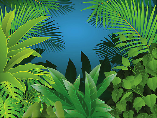 EPS 해외이미지 나무 식물 계절 꽃 야생동물 백그라운드 잎 일러스트 자연 아침 프레임 손바닥 풍경 야외 목재 초록색 여름 태양 환경 봄 숲 신비 열대우림 천국 내추럴 아마존 히비스커스 해외202004 해외일러스트 주간 자연요소 동물 손 컬러 컨셉 재료 생태계 파일형식 벡터 이미지허브