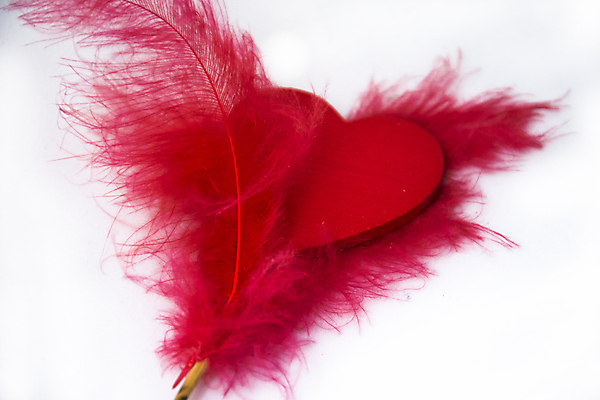 포토 JPG 해외이미지 모양 리본 종이 결혼 백그라운드 컨셉 벽지 휴가 발렌타인데이 선물 사랑 사람없음 장식 빨간색 우주 사진촬영 손상 흰색 하트 마음 축하 신용카드 심볼 흰배경 그림 슛 고립 해외202004 해외포토 감정 컬러 데이이벤트 이벤트 금융 촬영 파일형식 이미지허브